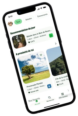 Design de l'application