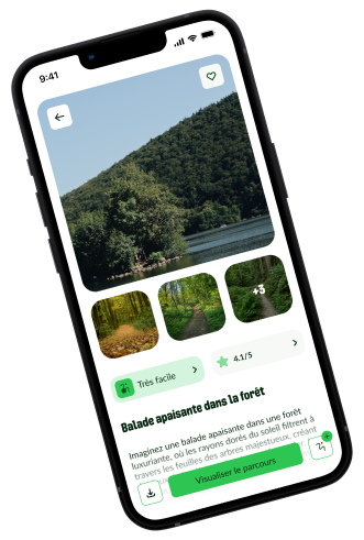 Design de l'application